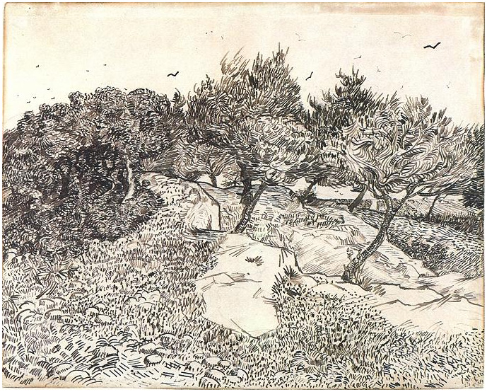 Vincent van Gogh's Olive Trees, Montmajour Drawing